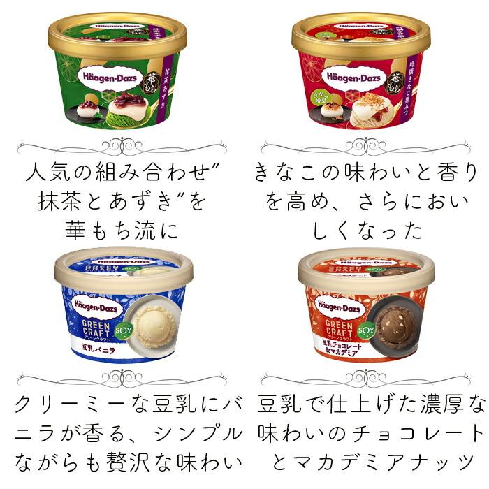 ハーゲンダッツ アイスクリーム ミニカップ 21種類から2種類選べる福袋12個（6個×2種類）セット｜nomimon｜07