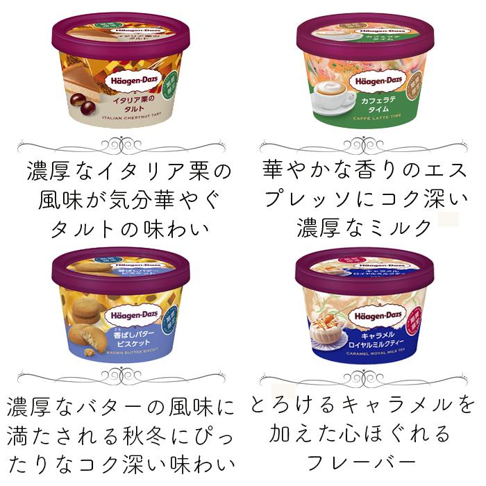 ハーゲンダッツ アイスクリーム ミニカップ 21種類から2種類選べる福袋12個（6個×2種類）セット｜nomimon｜09