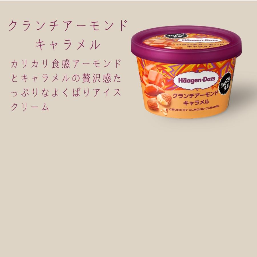 ハーゲンダッツ（Haagen-Dazs） アイスクリーム ミニカップ 15種類から