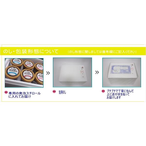 レディーボーデン パイント(470ml)6個セット(3種類×2個） アイス