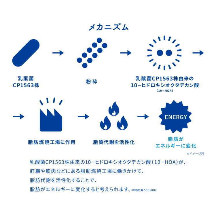 L 92 守る働く乳酸菌 Pet100ml 1ケース 30本 4901340052253 Soueikai Net 通販 Yahoo ショッピング