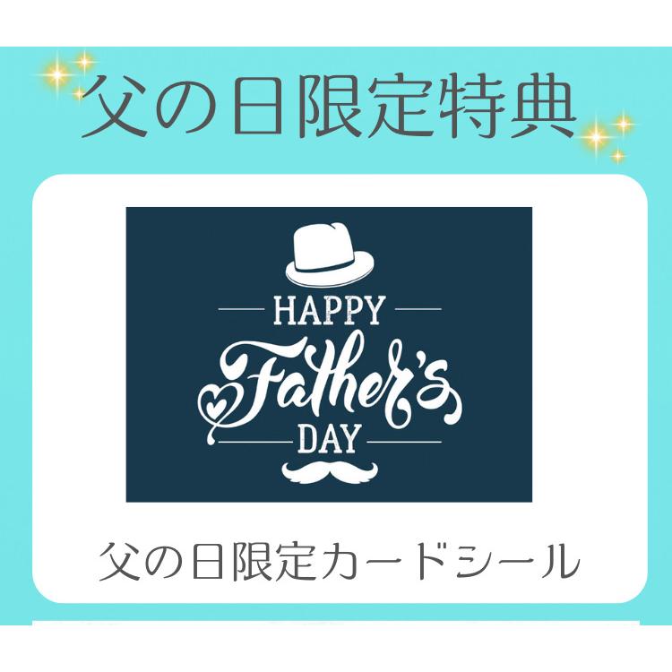 父の日 ハーゲンダッツ アイスクリーム 父の日スペシャルセット お礼 お返し 内祝い 出産 祝い お祝｜nomimon｜04