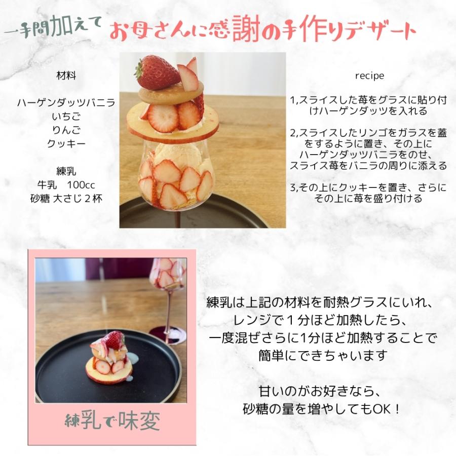 ハーゲンダッツ アイスクリーム アニバーサリー ギフトセット 母の日