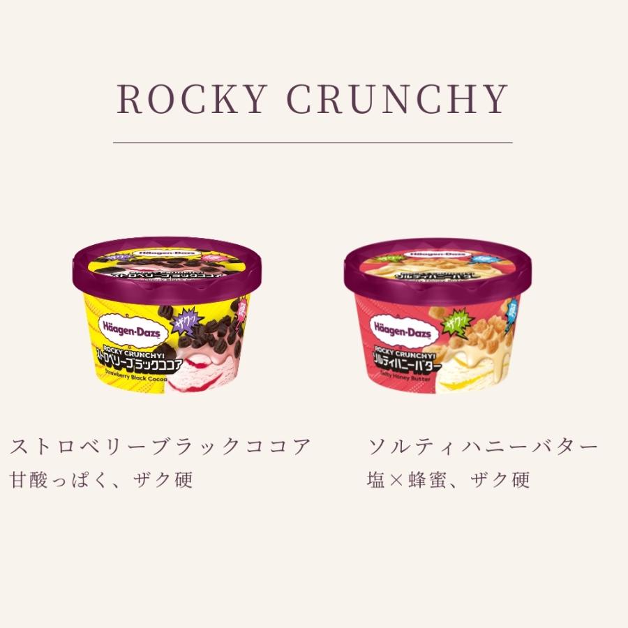 ハーゲンダッツ 2026 RELEASE SELECTION 01 新作6個セット（ロッキー