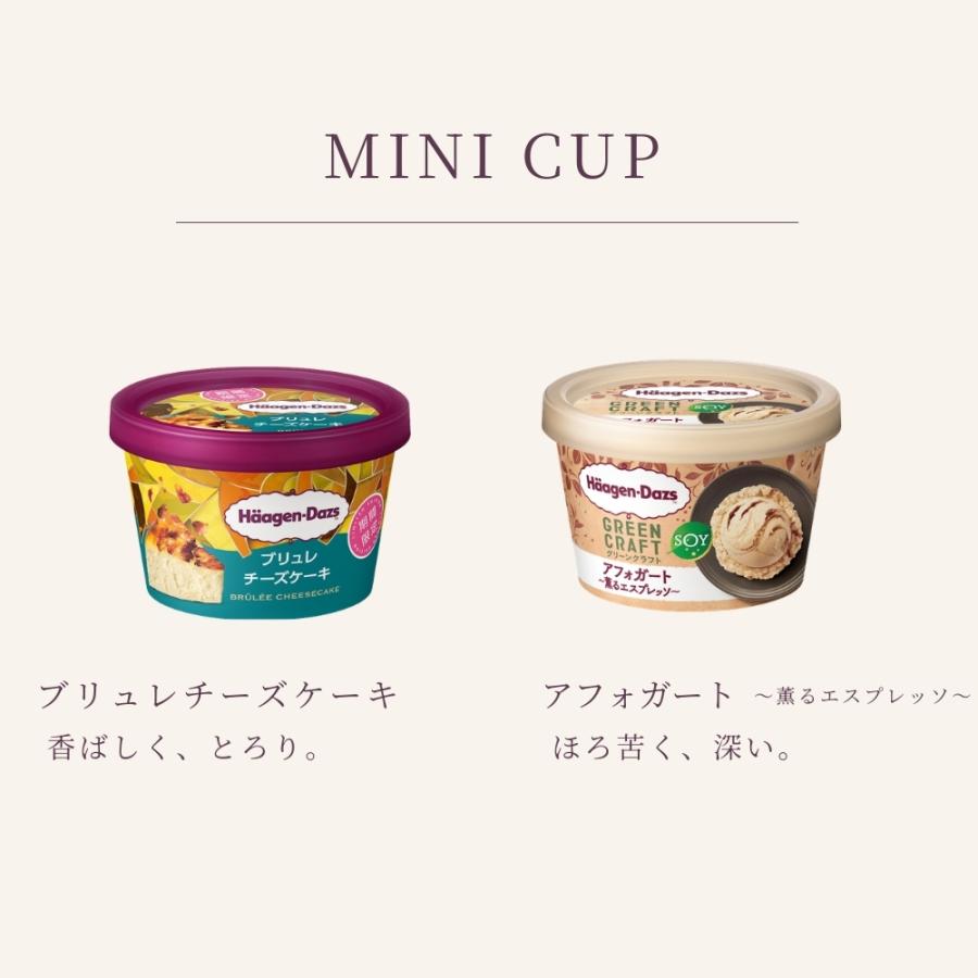 予約販売 ハーゲンダッツ 2026 RELEASE SELECTION 01 新作6個セット