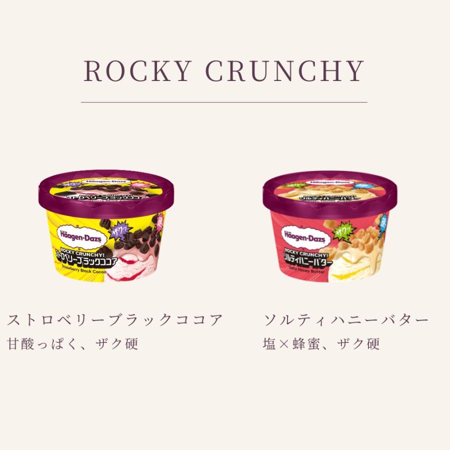 ハーゲンダッツ 2026 RELEASE SELECTION 02 新作6個セット