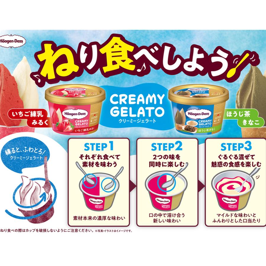 激レア　ハーゲンダッツ　Heavenly spoon 限定品　空箱　中身なし Häagen-Dazs | Special Edition | 15.0%