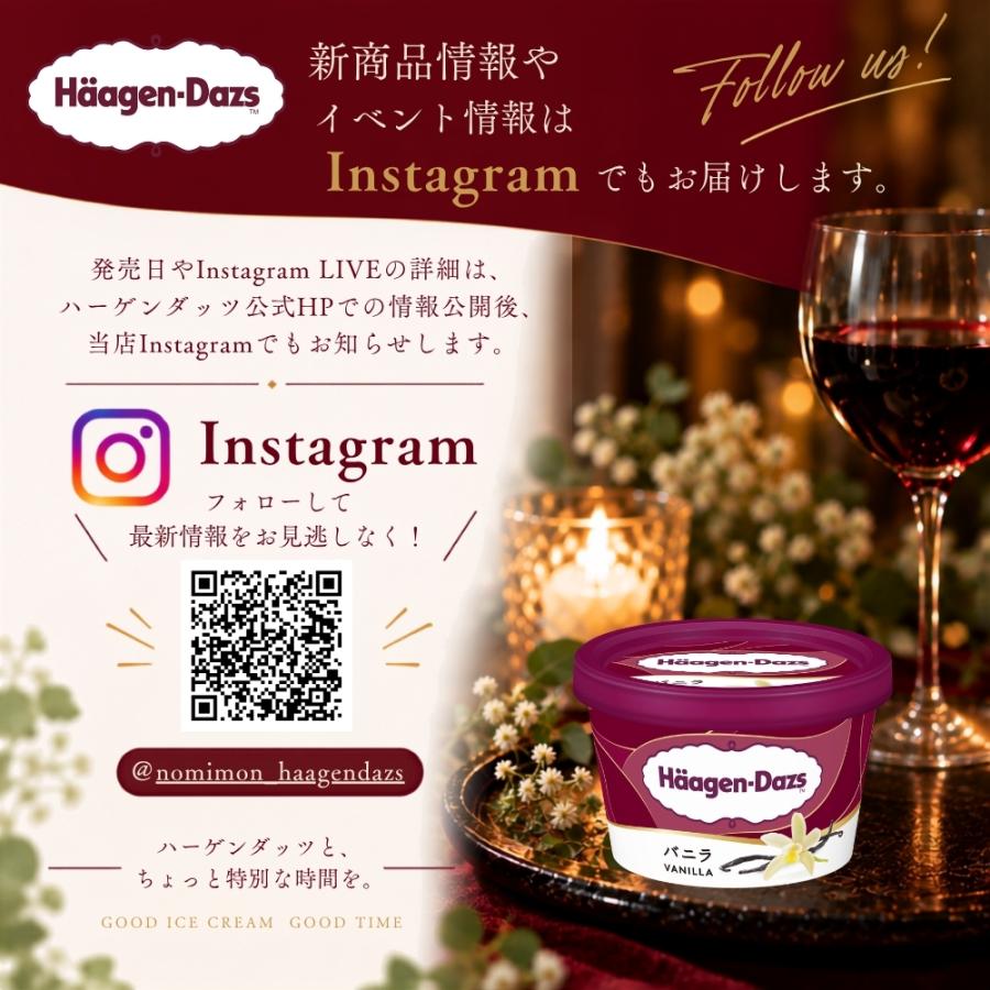 ハーゲンダッツ 新商品 お試しセット Classy Night 2種入り 特別な6個