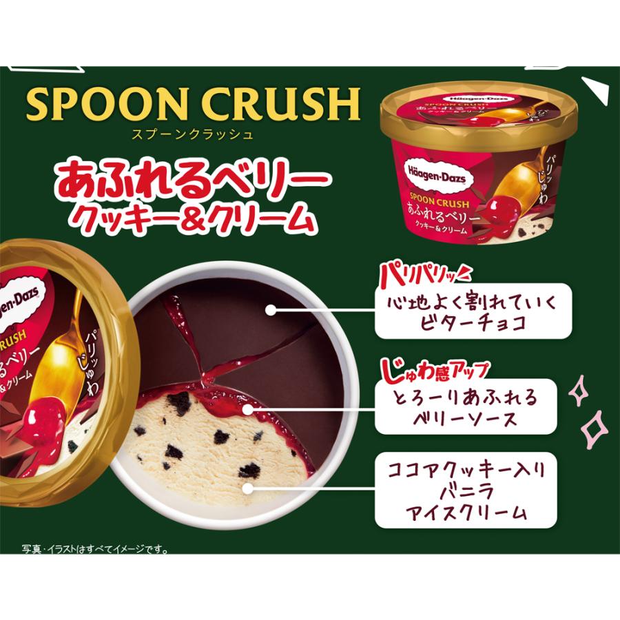 ハーゲンダッツ 新商品お試しセット スプーンクラッシュ ハーゲンダッツ 新商品お試しセット スプーンクラッシュ