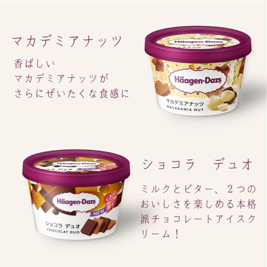 ハーゲンダッツ アイスクリーム ギフト ミニカップ（110ml) 人気 