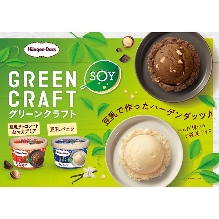 ハーゲンダッツ ミニカップ Green Craft グリーンクラフト 豆乳チョコレート&マカデミア 12個｜nomimon｜03