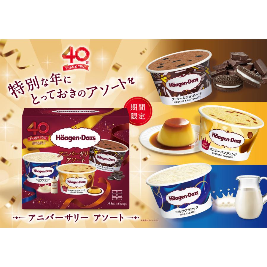 ハーゲンダッツ アニバーサリー アソート 6箱（1箱6個入り＝70ml×3×2
