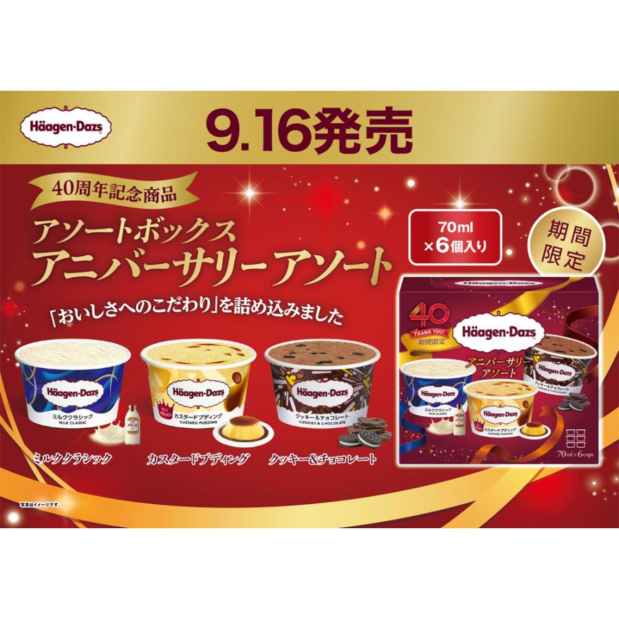 ハーゲンダッツ アニバーサリー アソート 6箱（1箱6個入り＝70ml×3×2