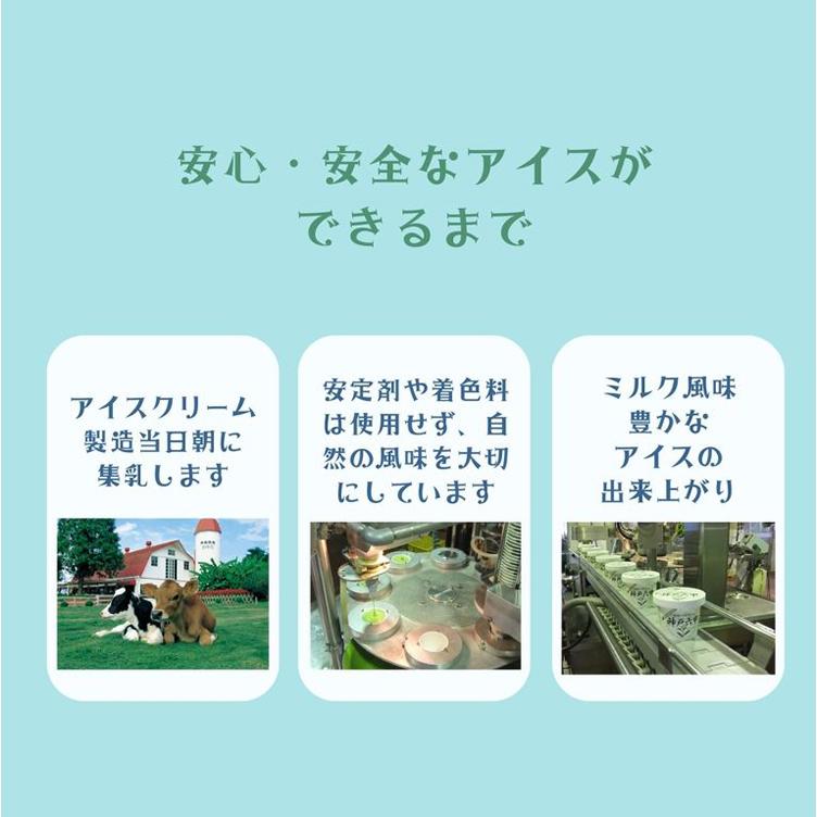 アイスクリーム ギフト 神戸六甲アイスギフトセット10個  お歳暮 冬ギフト　 |  | 03