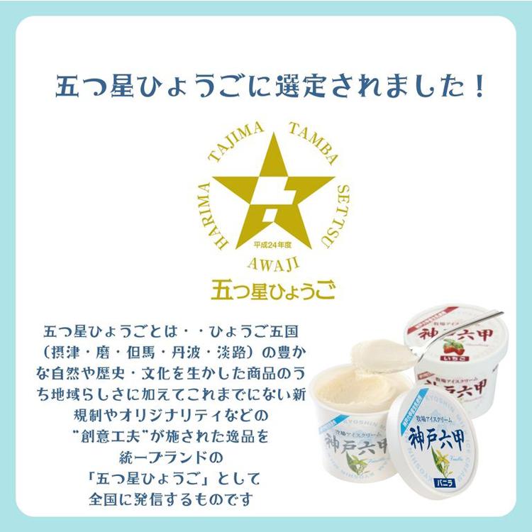 アイスクリーム ギフト 神戸六甲アイスギフトセット10個  お歳暮 冬ギフト　 |  | 04