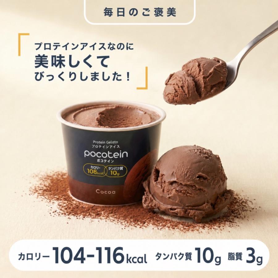 ポコテイン アイスクリーム 6個 プロテインアイス ココア : のみモン