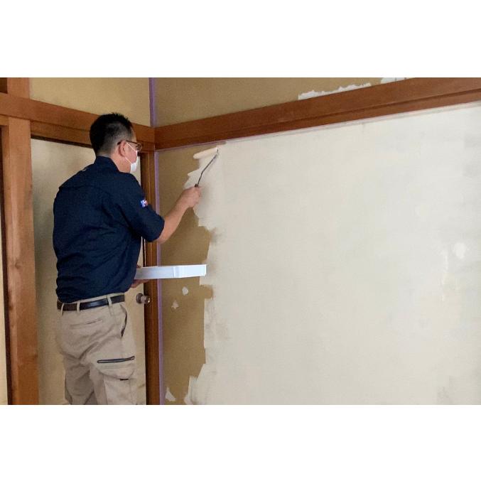 驚きの値段で やってみよう カスタマイズセット 珪藻土仕上げ壁 エコプラスf アクドメール はじめてでもカンタン カラーもカスタマイズな珪藻土塗料 塗装 Www Recycling Carbon Org