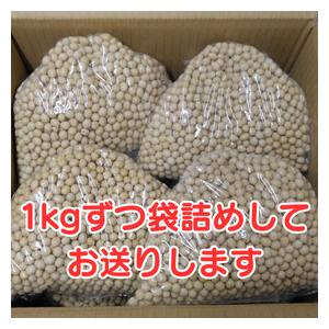 秋田県産リュウホウ新大豆 10kg お味噌作りにも 大豆 10kg 秋田県産 リュウホウ 国産 味噌 豆腐 煮豆 多用途でご利用