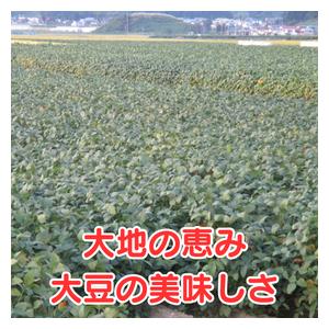 秋田県産リュウホウ新大豆 10kg お味噌作りにも 大豆 10kg 秋田県産 リュウホウ 国産 味噌 豆腐 煮豆 多用途でご利用