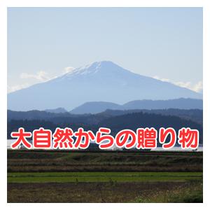大豆 10kg 秋田県産 リュウホウ 国産 味噌 豆腐 煮豆 多用途でご利用