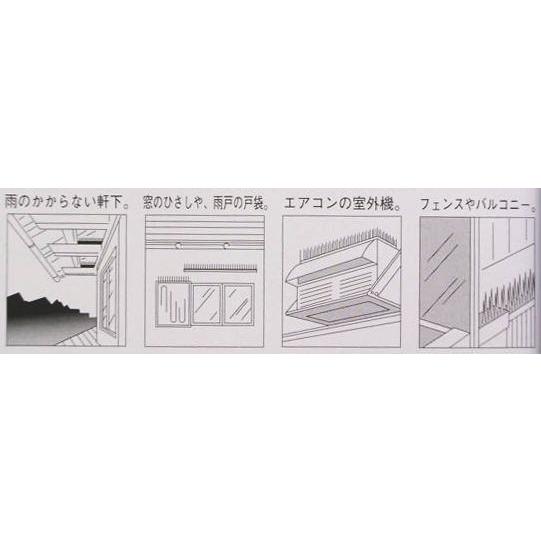セキスイ 鳩よけ フン害防止マットI型 ハトプロテクター 長さ600ミリ