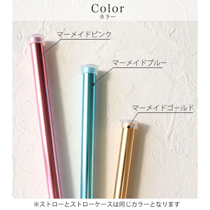 アルミストロー 名入れ ＆ ストローケースセット / ケース付き マイ