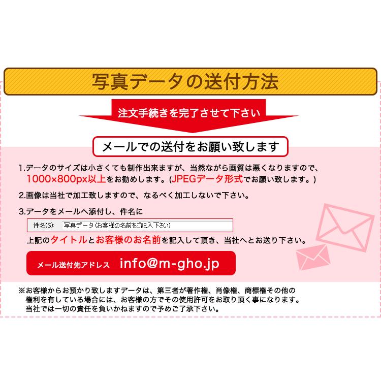 名入れ ★ 野球ボール 名前 ＆ 写真 入り （両面印刷）＆ 台座 付き★ ラッピング込み 卒団記念 背番号 卒部 卒業 プレゼント 寄せ書き｜nonbiriya｜12