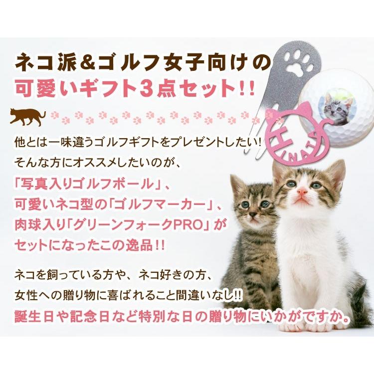 TOURSTAGE ＜猫セット＞ ゴルフボール 写真入り 3個＆ステンレス製