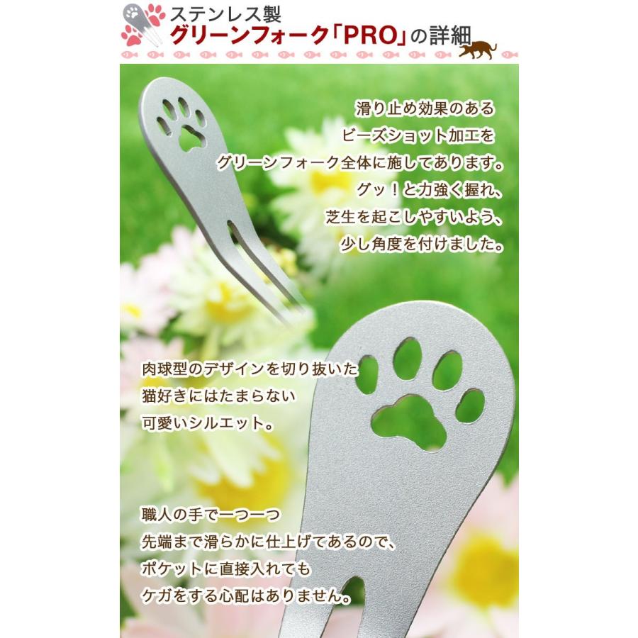 猫セット 名入れカラーゴルフボール マット仕様３個 ステンレスグリーンフォーク Pro 肉球デザイン ステンレス切り文字マーカー ニャンたん Gho Catset 03 名入れマイスター 通販 Yahoo ショッピング