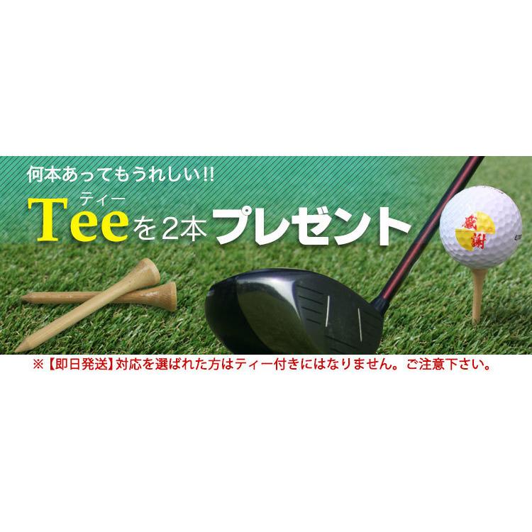 ≪即日発送≫ ゴルフボール 名入れ ３個 【Titleist FEEL】 タイトリスト 記念品 ゴルフコンペ 父の日 退職祝い 誕生日 還暦 プレゼント | HVC | 09