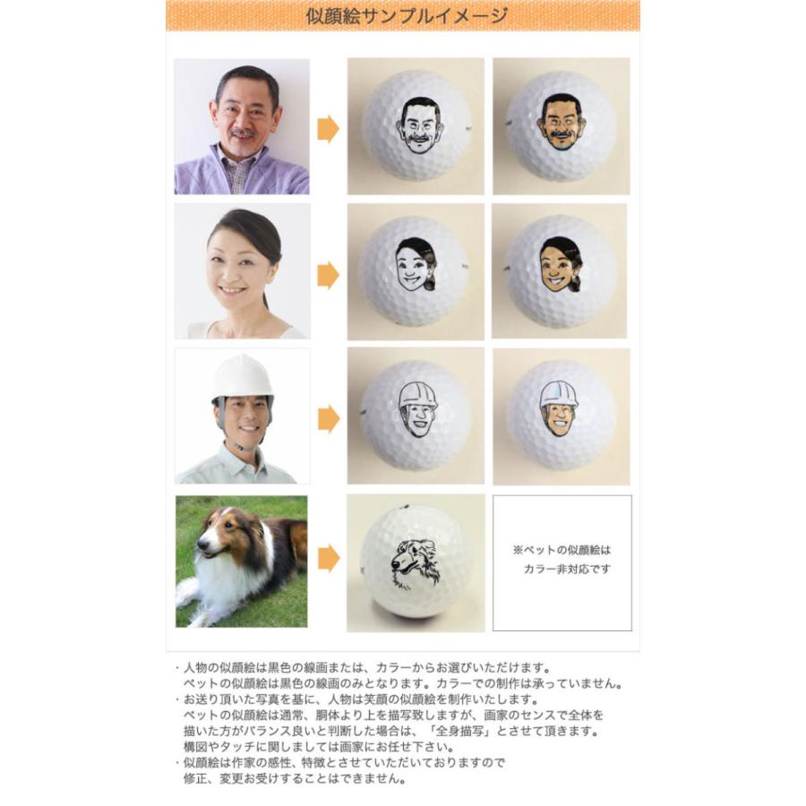 TOURSTAGE 似顔絵 ゴルフボール 名入れ 9個 ゴルフ プレゼント 名前