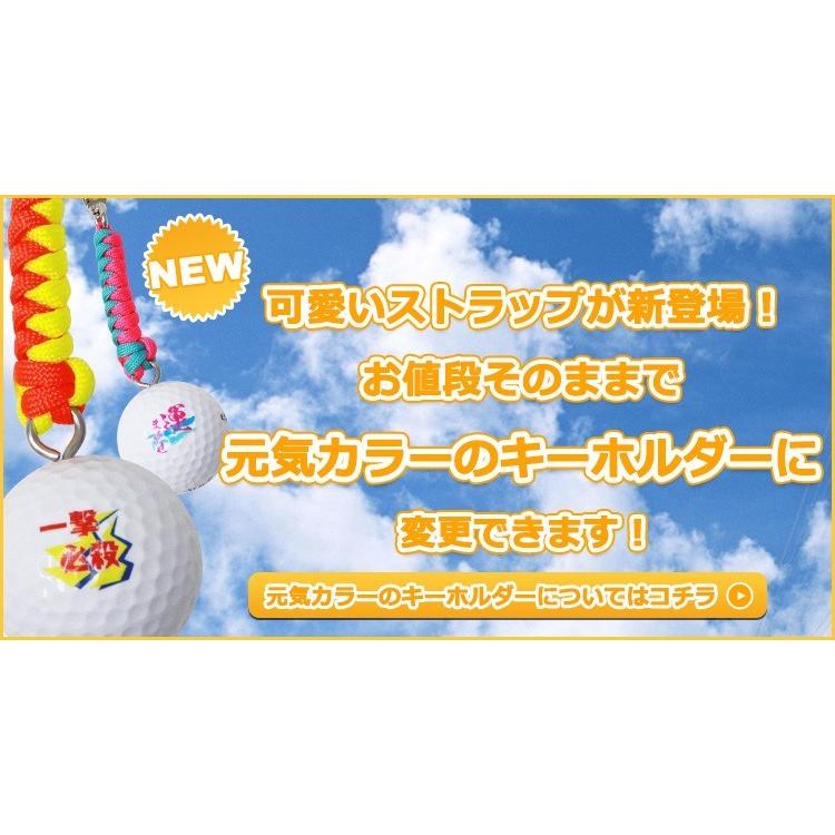 即日発送 ギフト 名入れ ゴルフボール６個 キーホルダー ダンロップ Srixon Lady White スリクソン プレゼント 退職祝い 誕生日 イラスト 還暦 Gho Golf Srixon 名入れマイスター 通販 Yahoo ショッピング