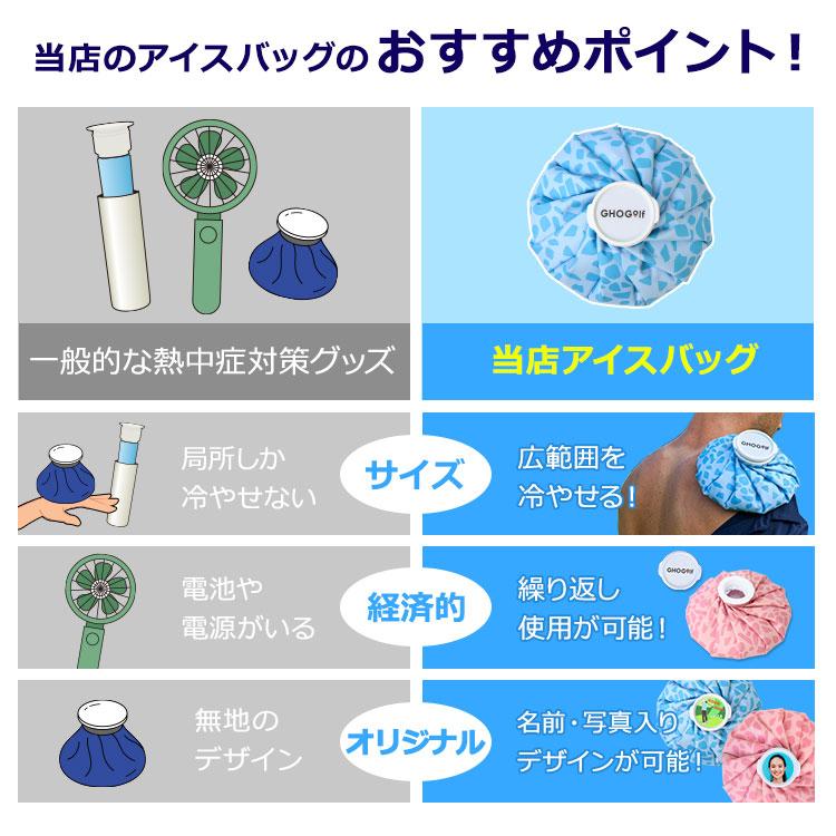 氷嚢 名入れ 写真入り 【アイスバッグ 氷のう (クラッシュドアイス