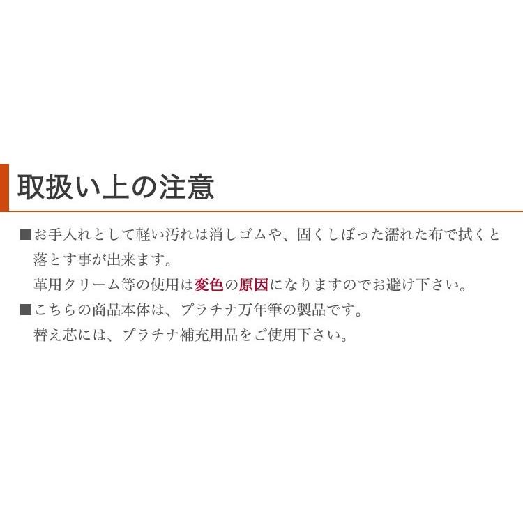 プラチナ万年筆 【即日発送】 ボールペン 名入れ 【多機能ボールペン