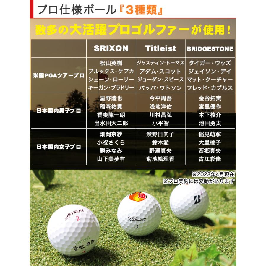 Pro V1 ≪即日発送≫ ゴルフボール 名入れ 【プロ仕様3種類】 打ち比べ