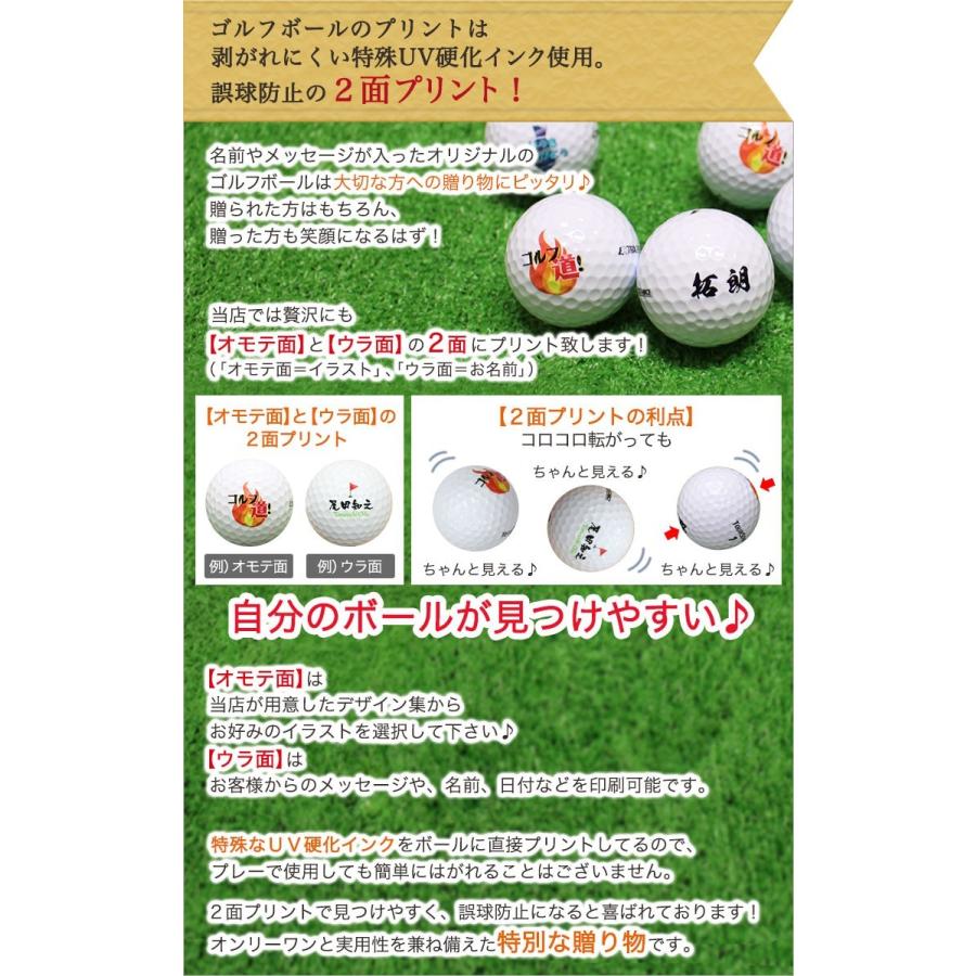 Pro V1 ≪即日発送≫ ゴルフボール 名入れ 【プロ仕様3種類】 打ち比べ