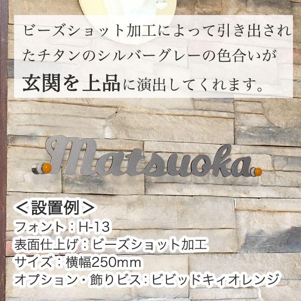 おしゃれ表札 チタン表札 T2　GHO-T-15「アンダーライン無し」 錆びない 戸建 ローマ字 【アン】 アイアン 切り文字