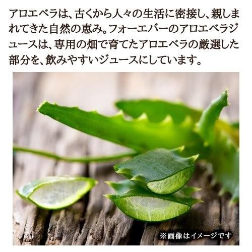 FLP アロエベラジュース 1000ml ×3本 賞味期限2028年3月 : ベスト