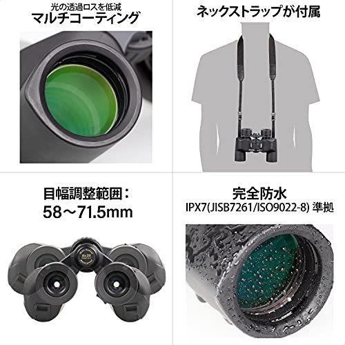 Kenko 双眼鏡 ultraVIEW 6x30WP ポロプリズム 6倍30口径 防水 020395 