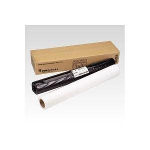（まとめ買い）　アジア原紙　感熱プロッタ用紙　2本入　KRL-A1　594mm巾
