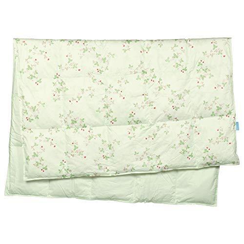 ソルボワ 東京 西川 ダウンケット (羽毛肌掛け布団) シングル ウェッジ