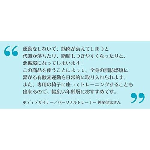 ライフフィットトレーナー 2Way 振動マシン 