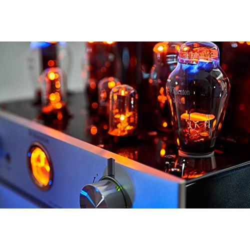 完動品 Willsenton R300 チューブアンプ300Bx2シングルエンドクラスA統合アンプパワーアンプヘッドフォンアンプオールインワン 【I3023468378】(108518円)