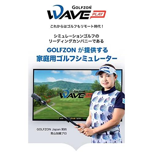 GOLFZON(ゴルフゾン) WAVE PLAY(ウェーブプレイ) ゴルフ 家庭用