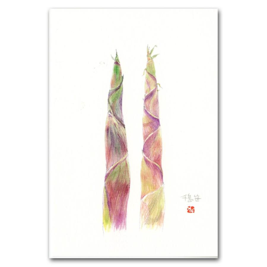 山菜 山菜9種類 ポストカード 絵葉書 フキノトウ コゴミ ウド ゼンマイ タラノメ コシアブラ タケノコ ワラビ モミジガサ Post9 外山康雄 野の花館 通販 Yahoo ショッピング