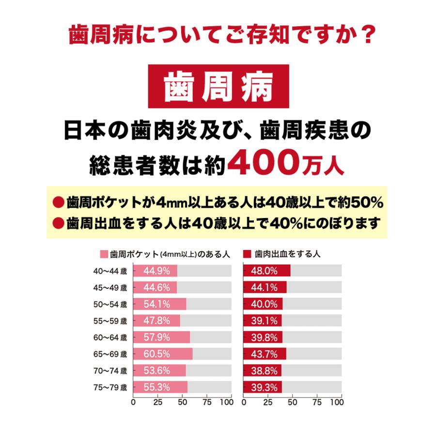 ののじ 歯間に入る 爽快歯ブラシ 付替用ブラシ3本セット｜nonoji｜03