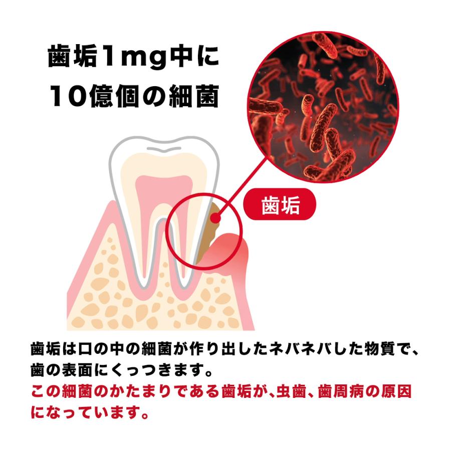 ののじ 歯間に入る 爽快歯ブラシ 付替用ブラシ3本セット｜nonoji｜04