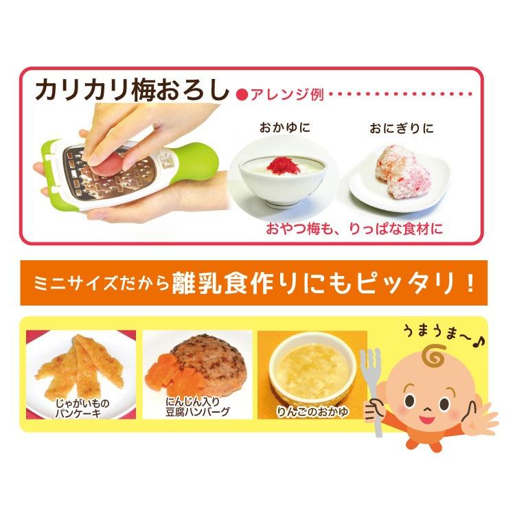 ののじ 手のり香味おろし おろし器 おろし金 調理器具 主婦 料理 便利グッズ 時短 簡単 実用的 家庭 家族 人気 ワサビ レモンピール チーズ 卓上 父の日 Lcg 01 Llg 01 ののじ公式オンラインyahoo 店 通販 Yahoo ショッピング