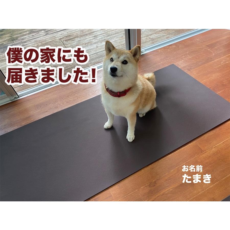 スタッドレスマット 愛犬のための室内用 滑り止めマット HOME CHOCO