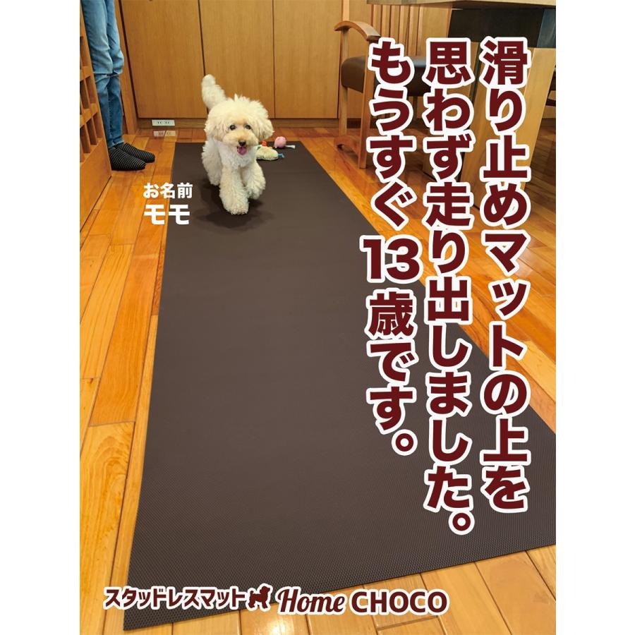 スタッドレスマット 愛犬のための室内用 滑り止めマット HOME CHOCO